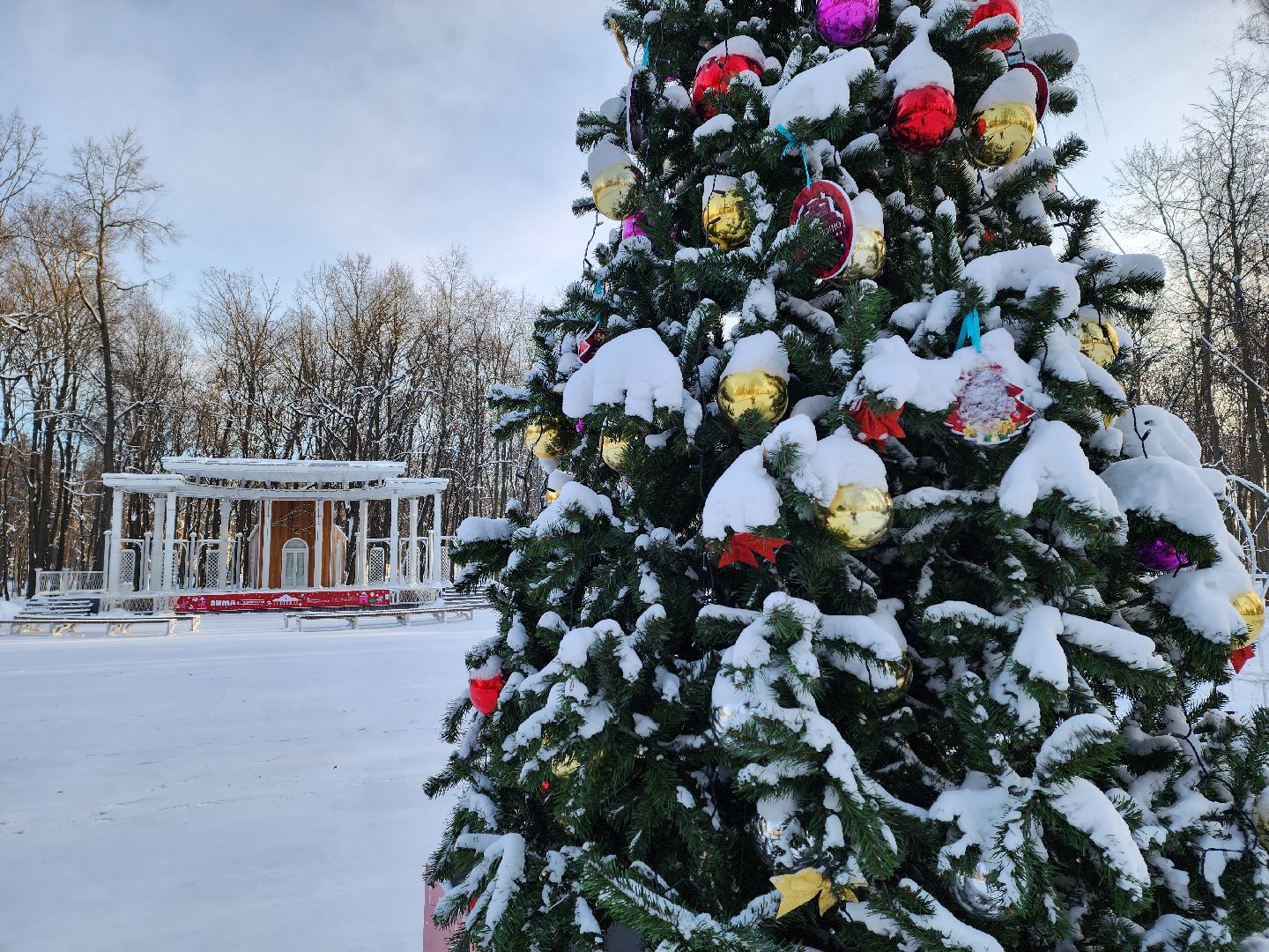 воскресенск, туризм, парки подмосковья, парк кривякино, усадьба кривякино, жители, зима в подмосковье,