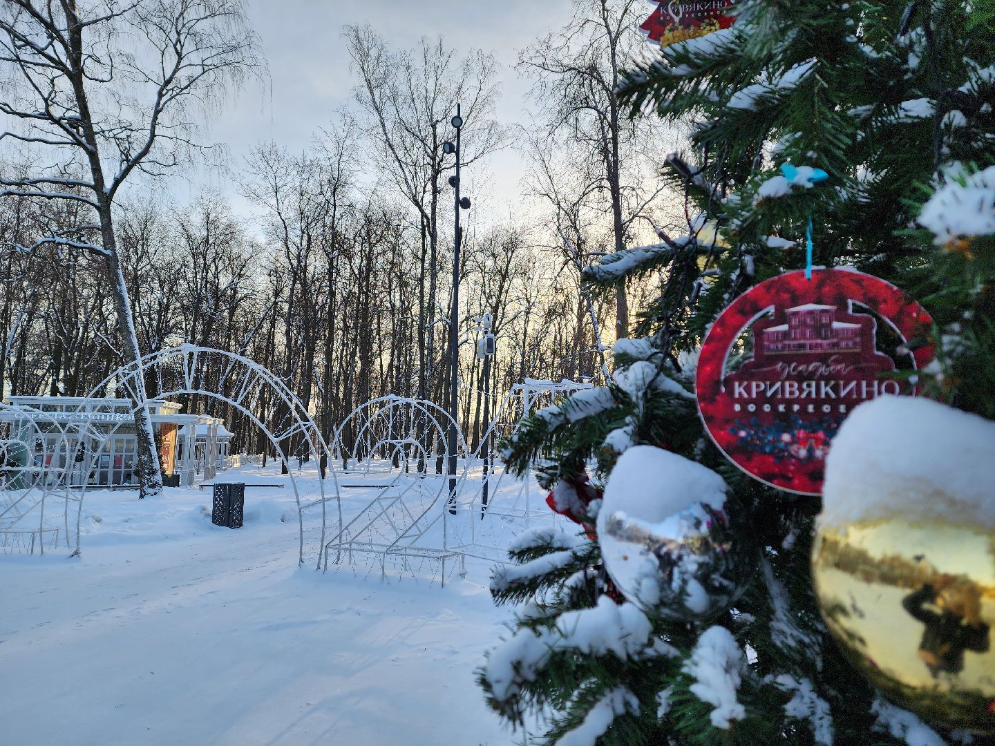 воскресенск, туризм, парки подмосковья, парк кривякино, усадьба кривякино, жители, зима в подмосковье,