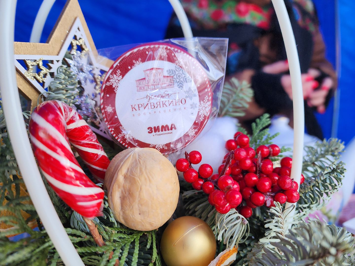 воскресенск, туризм, парки подмосковья, парк кривякино, усадьба кривякино, жители, зима в подмосковье,