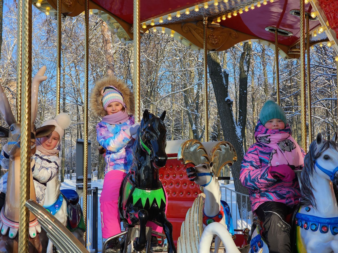 воскресенск, туризм, парки подмосковья, парк кривякино, усадьба кривякино, жители, зима в подмосковье,