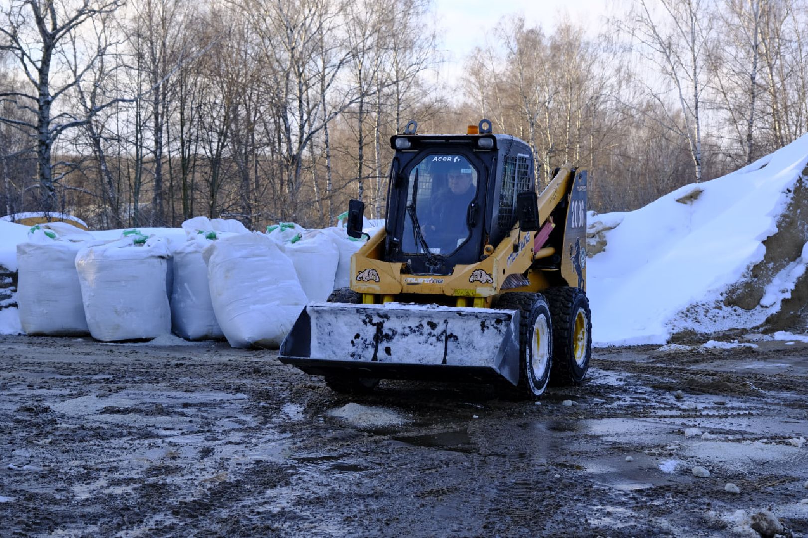 пущино, благоустройство, снег, уборка дворов, метель,