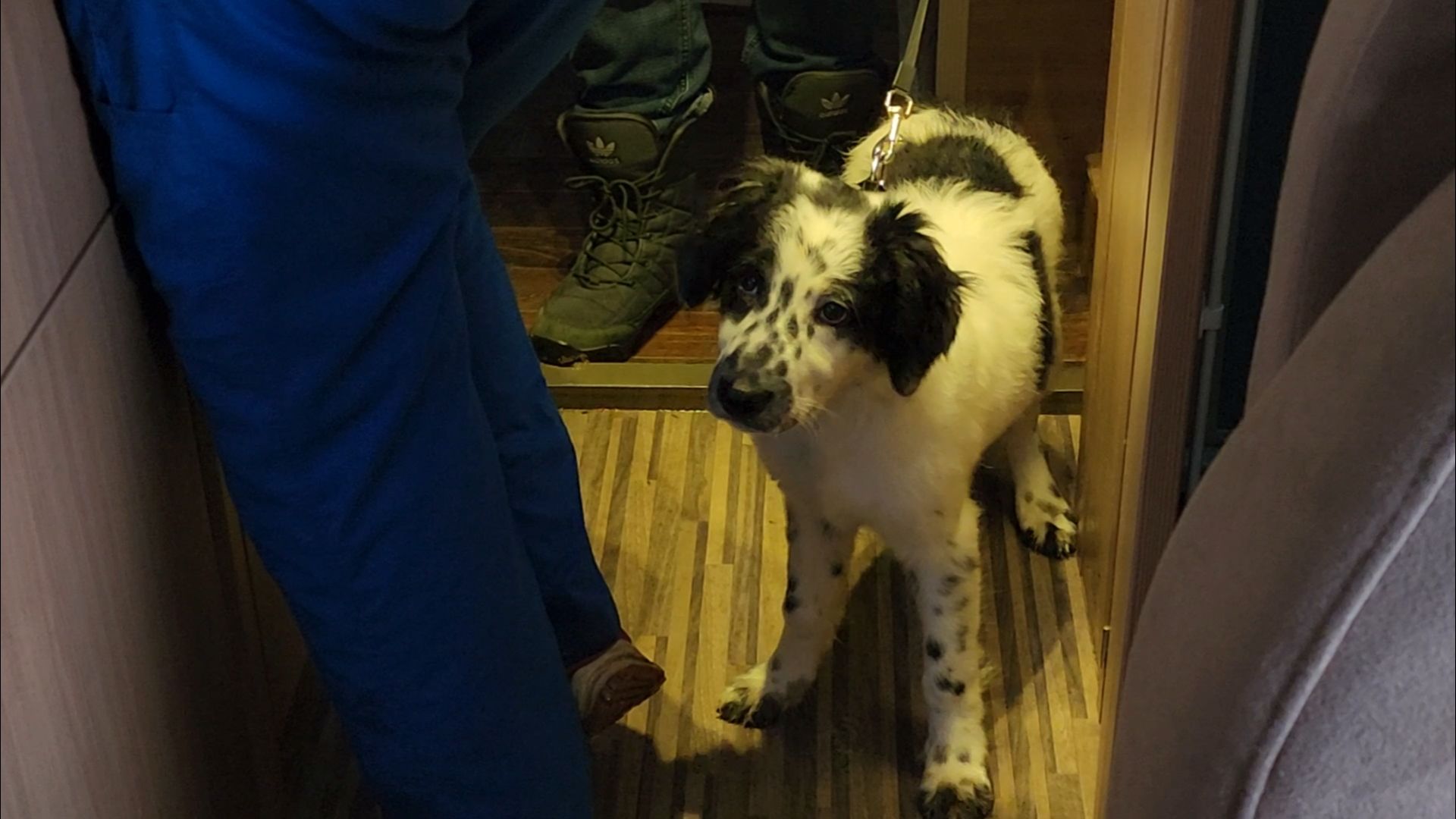 подольск, климовск, жкх,