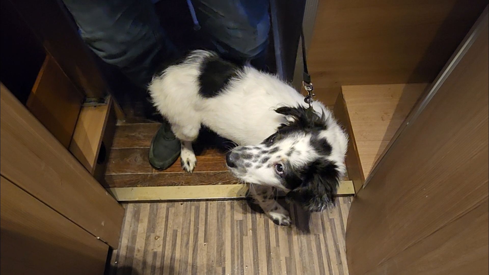 подольск, климовск, жкх,