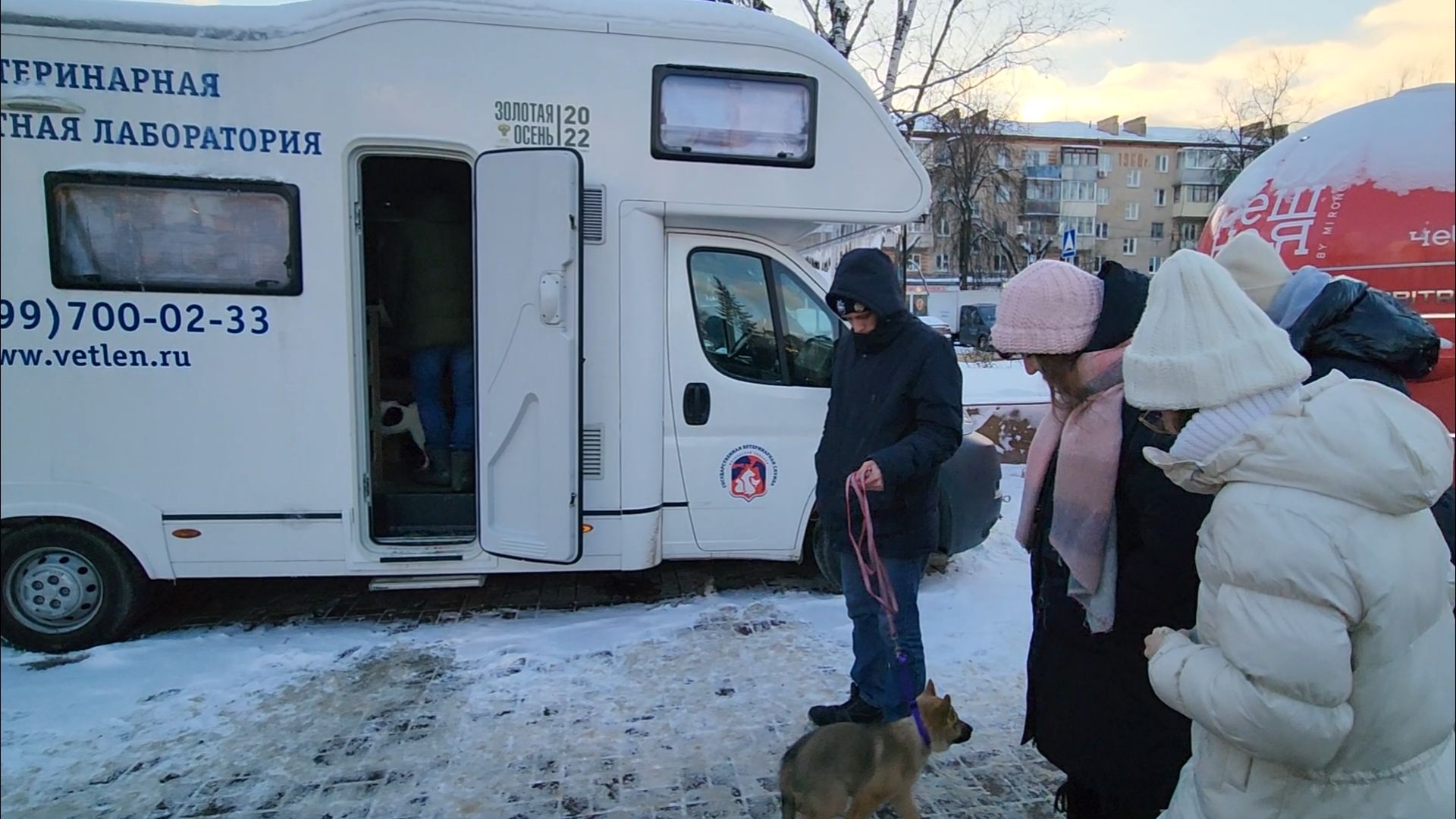 подольск, жкх, ветеринария,