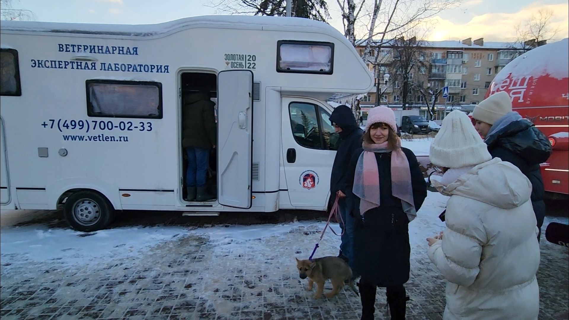 подольск, жкх, ветеринария,