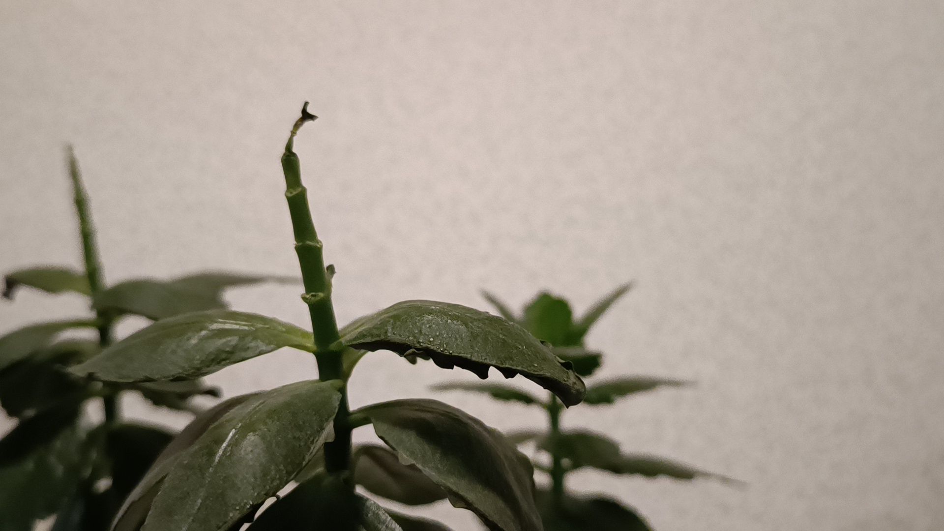 жкх, отопление, горячая вода,