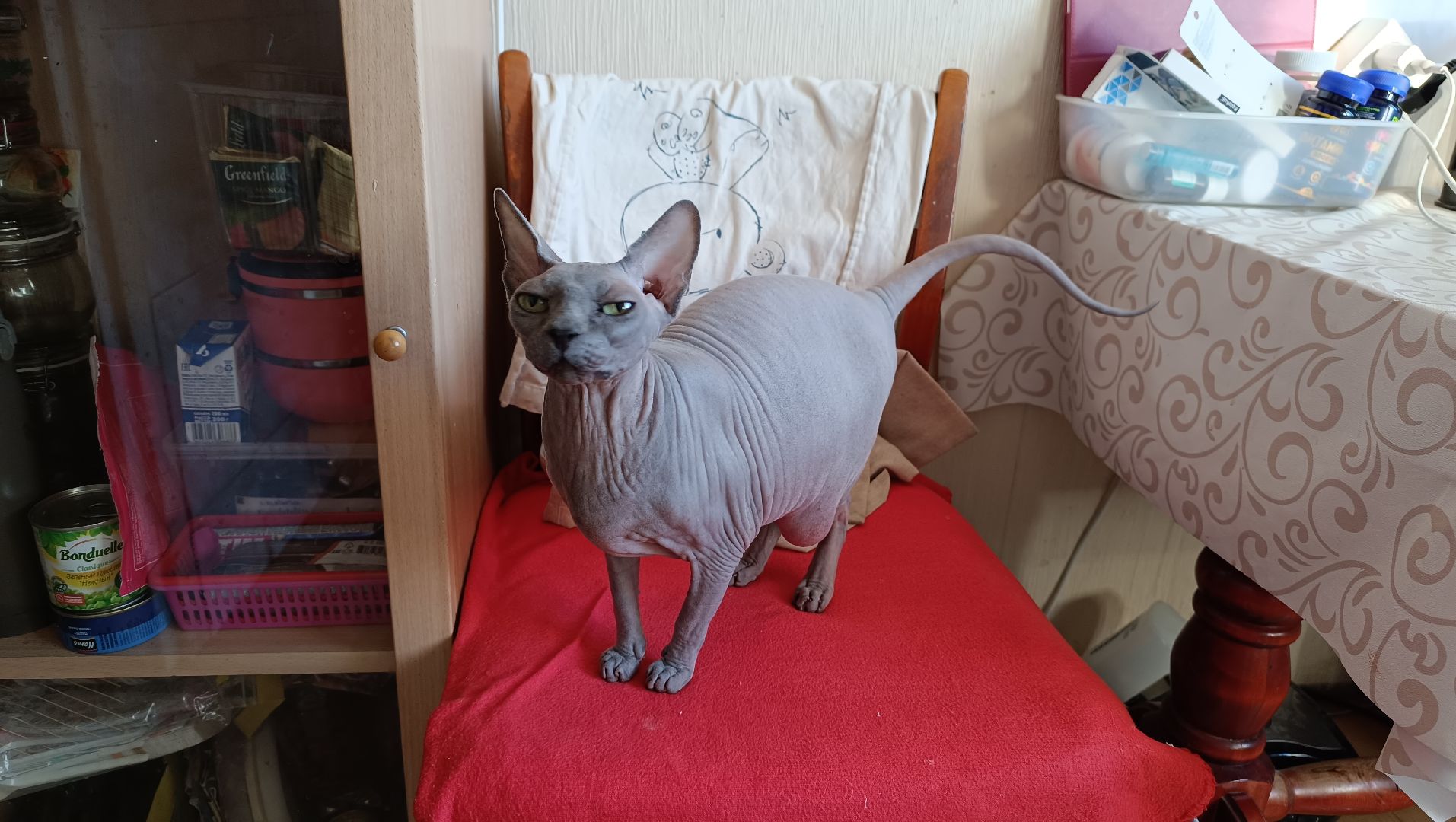 жкх, отопление, горячая вода,