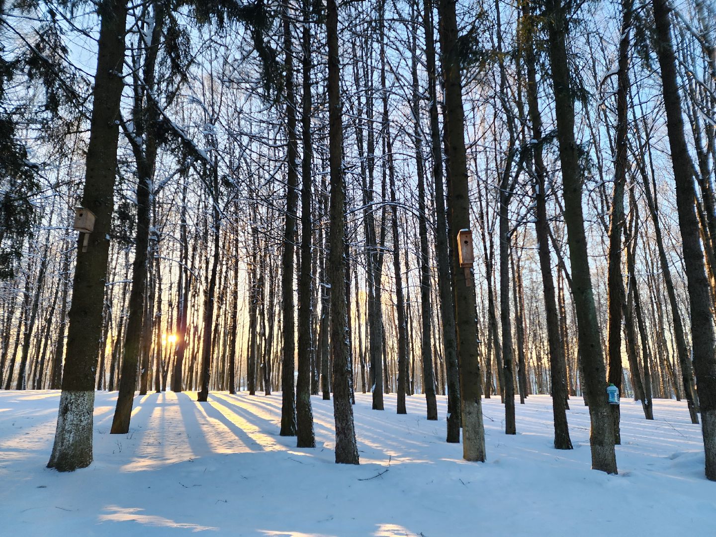 Волоколамск, парк, парки подмосковья, зима в подмосковье, дискотека, мандарины, дети, детская музыка,