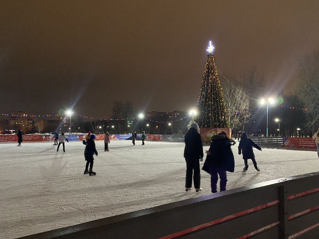 Долгопрудный, общество