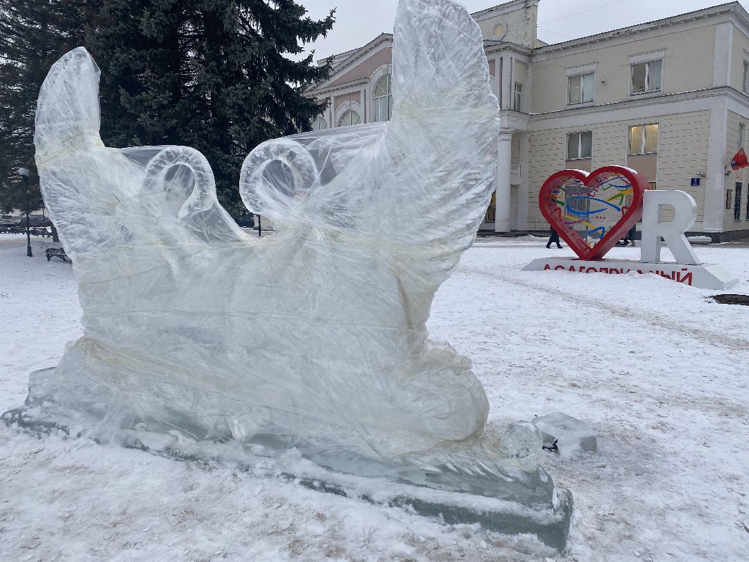 Долгопрудный, общество