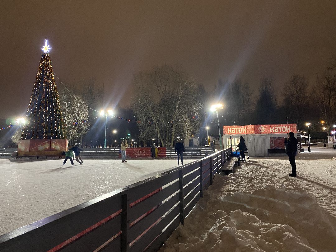 Долгопрудный, общество