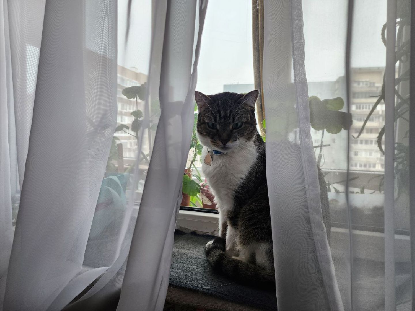 авария в котельной, ленинский окргуг, батареи, тепло в домах,