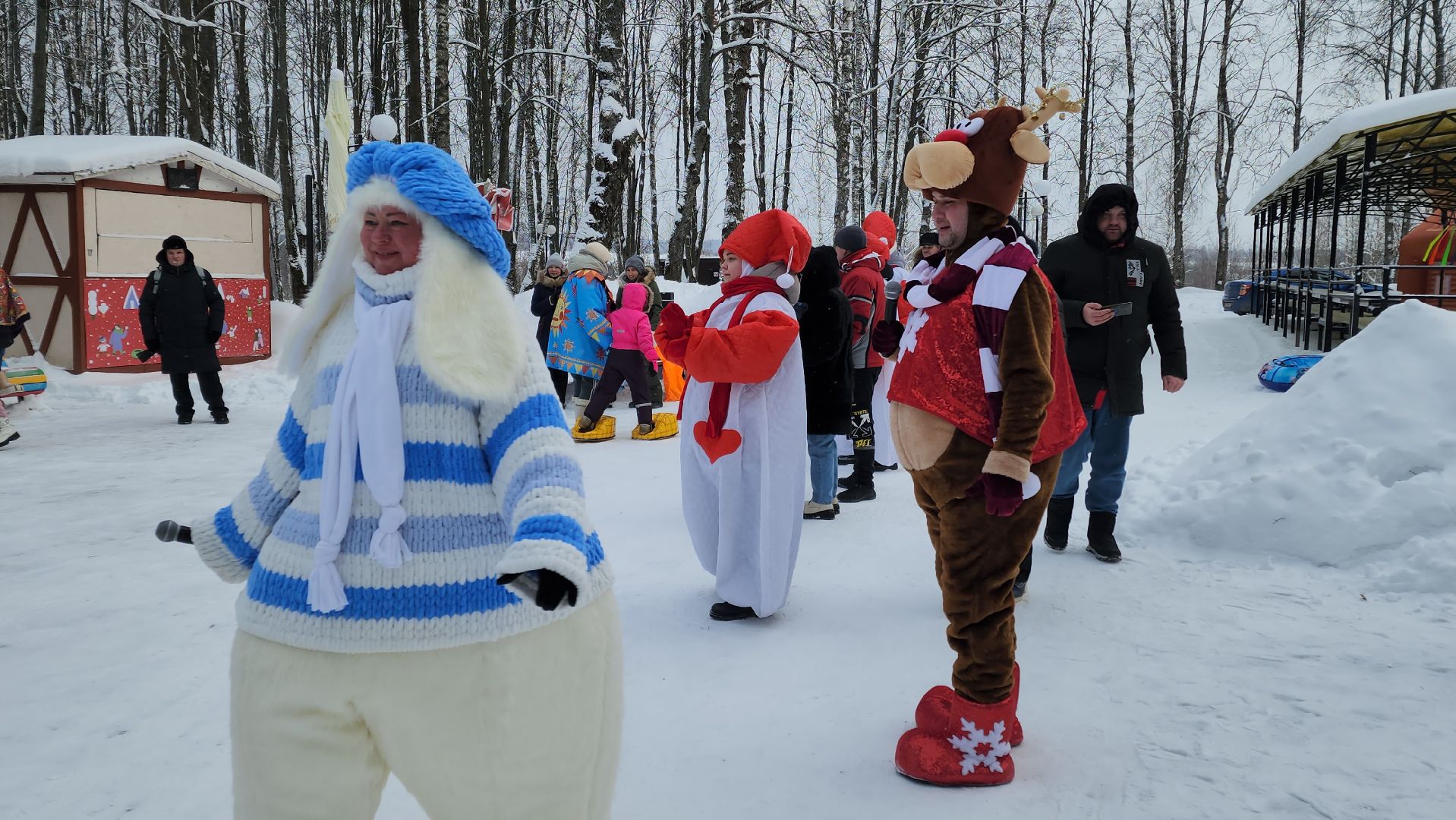 волоколамск, парк, снег, зима в подмосковье, мероприятие, елки, соревнования, конкурсы, мастер класс,