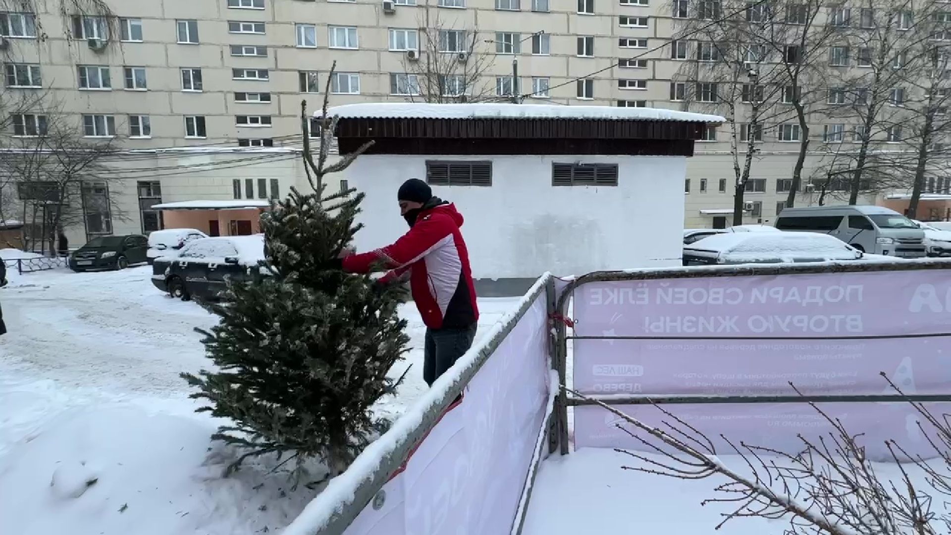 Реутов, ЖКХ, елки, вторая жизнь, акция, экология,