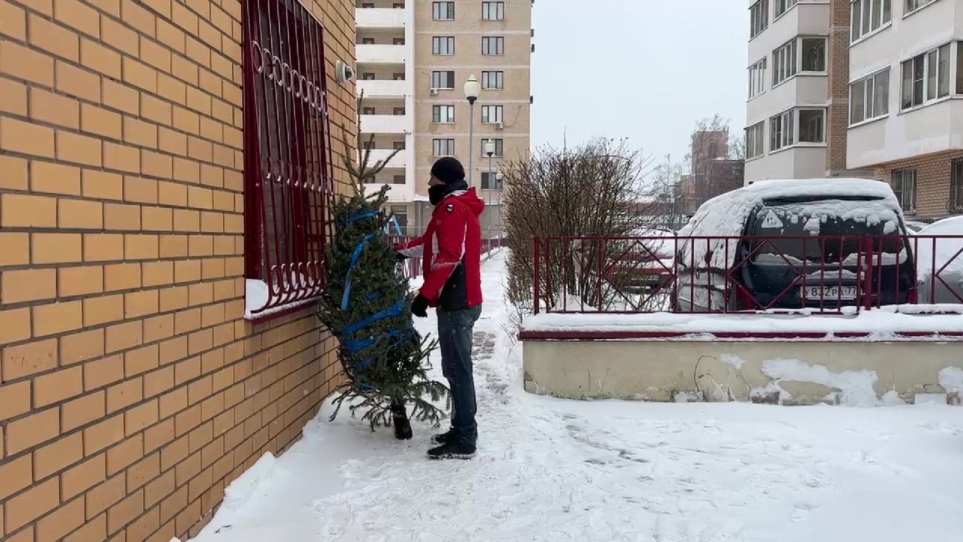 Реутов, ЖКХ, елки, вторая жизнь, акция, экология,