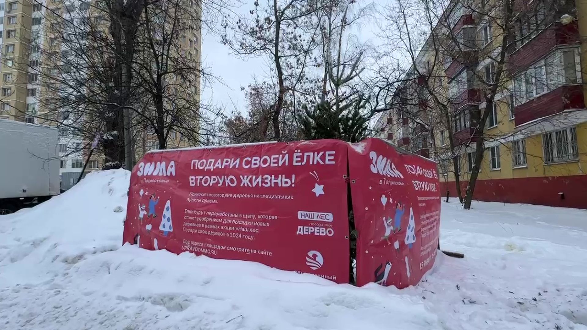 Реутов, ЖКХ, елки, вторая жизнь, акция, экология,