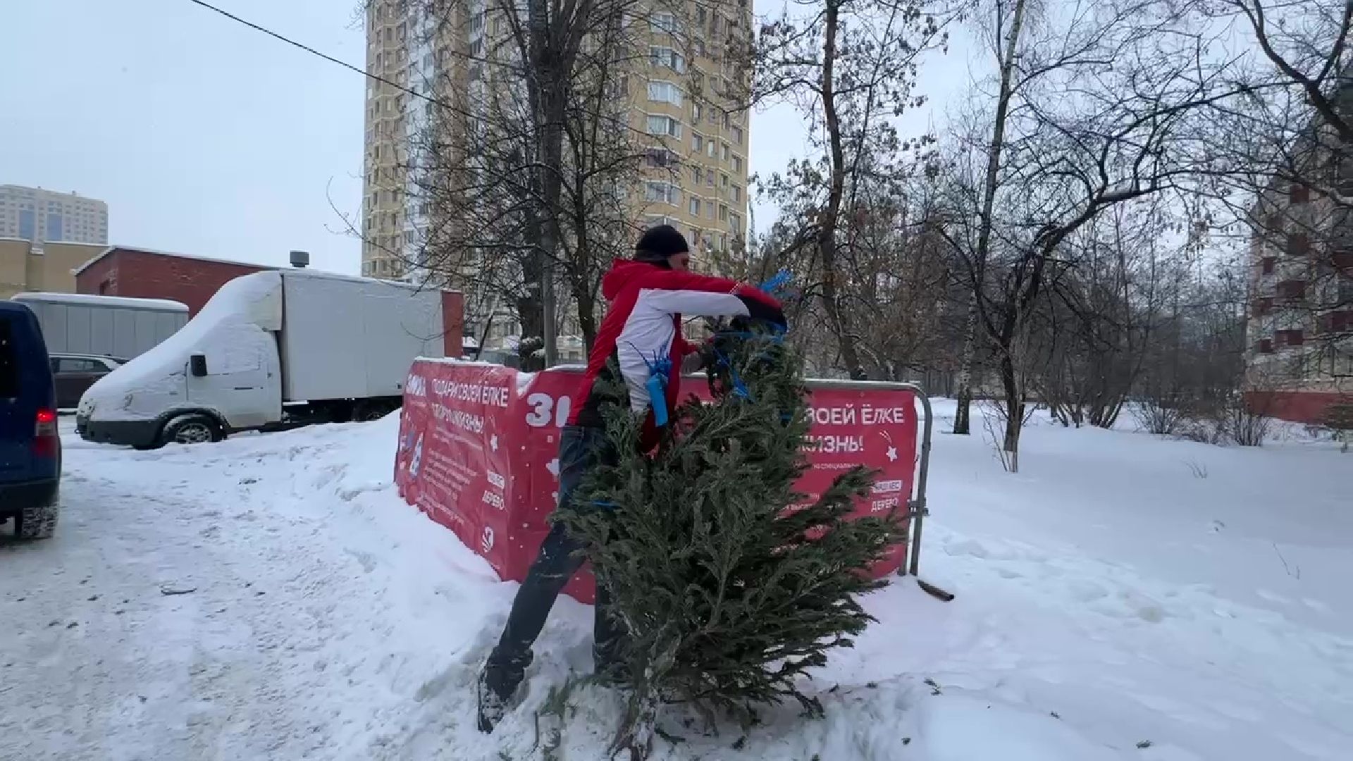 Реутов, ЖКХ, елки, вторая жизнь, акция, экология,