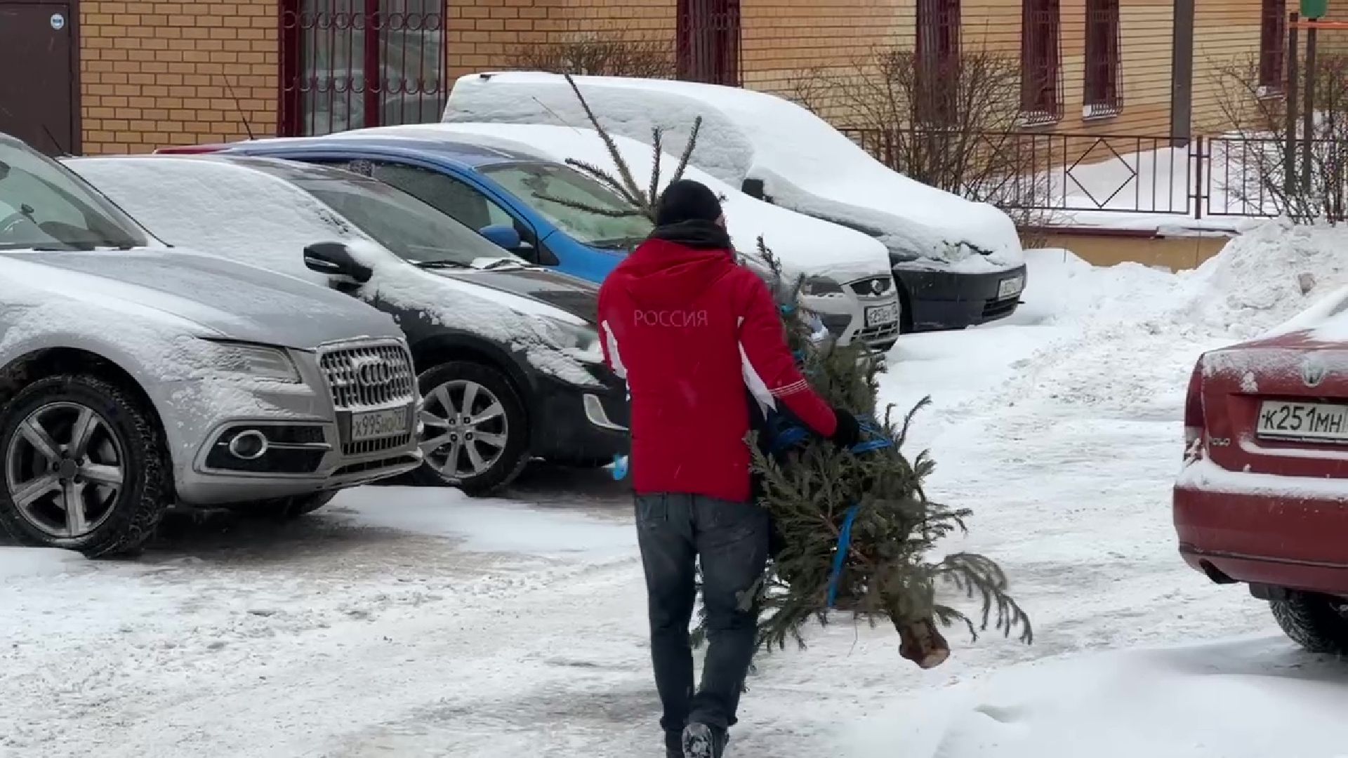 Реутов, ЖКХ, елки, вторая жизнь, акция, экология,