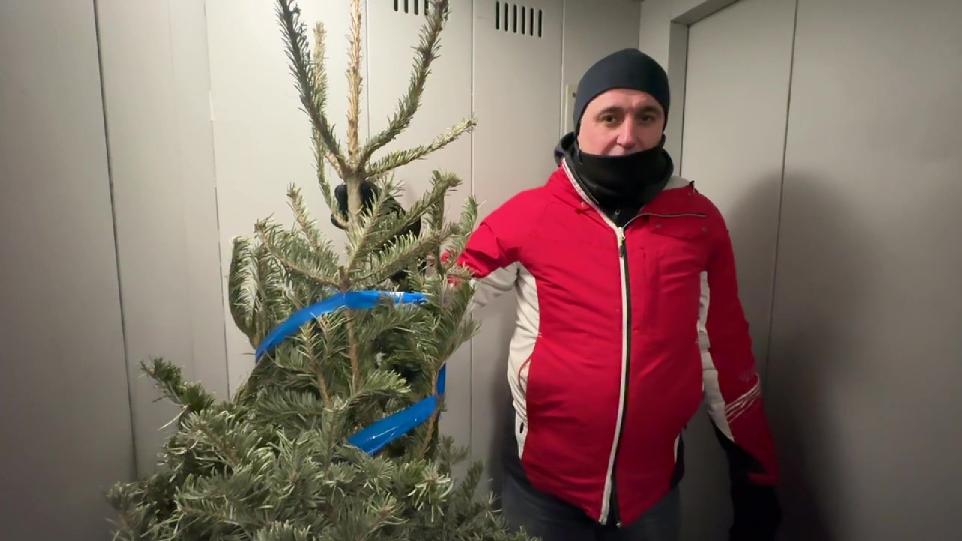 Реутов, ЖКХ, елки, вторая жизнь, акция, экология,