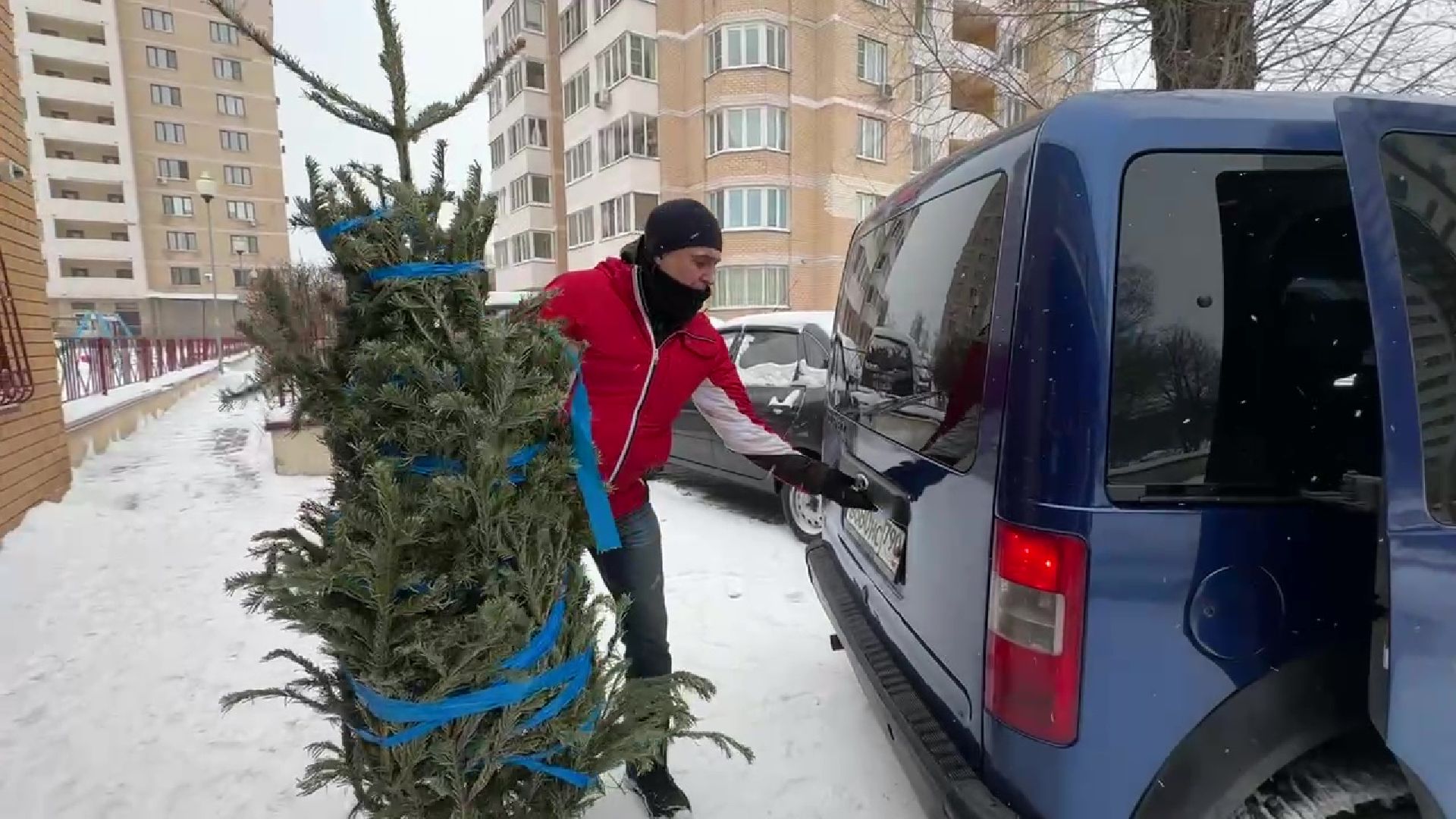 Реутов, ЖКХ, елки, вторая жизнь, акция, экология,