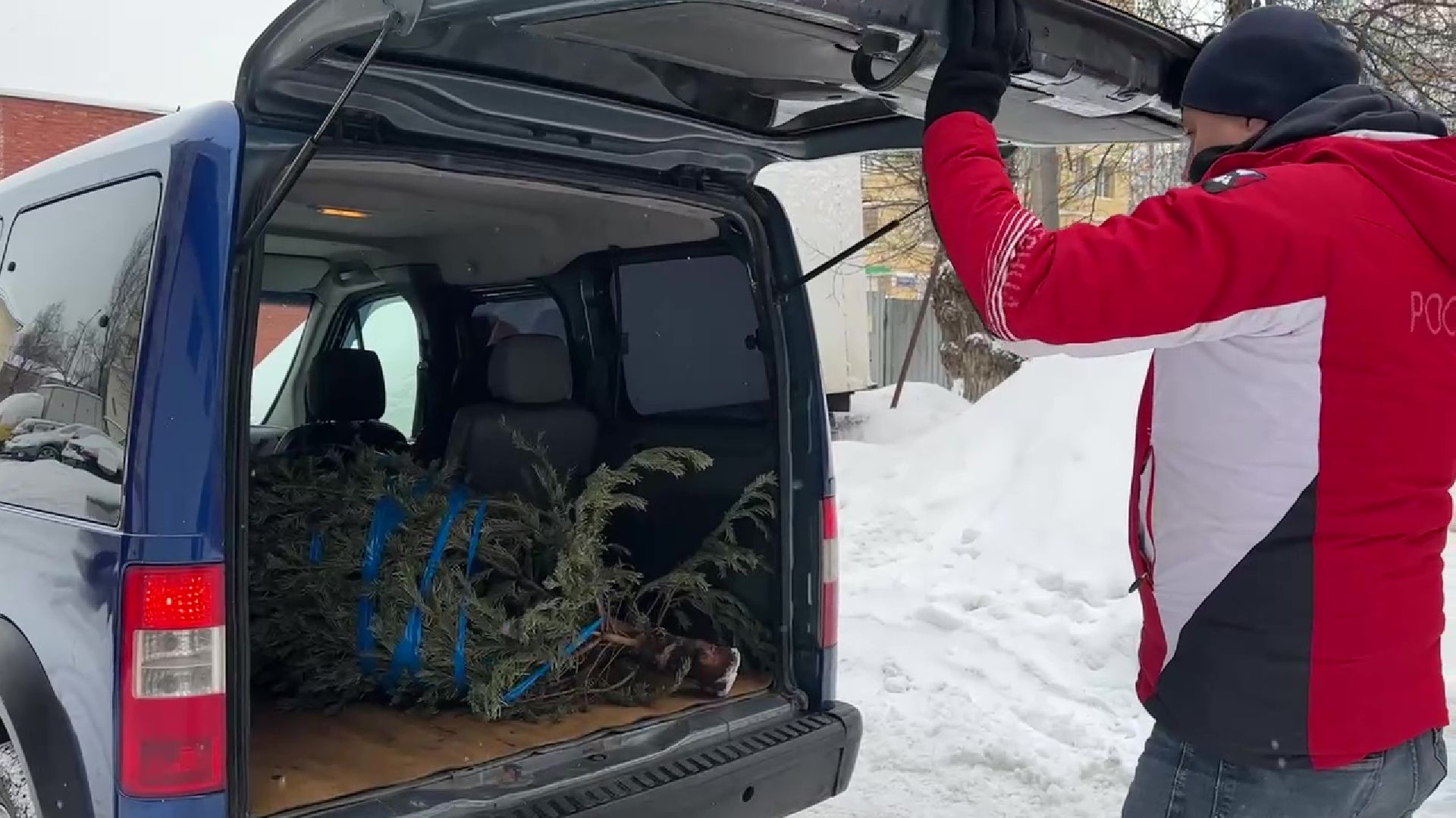 Реутов, ЖКХ, елки, вторая жизнь, акция, экология,