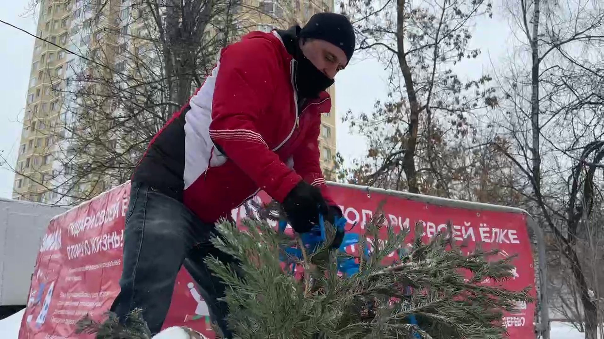 Реутов, ЖКХ, елки, вторая жизнь, акция, экология,