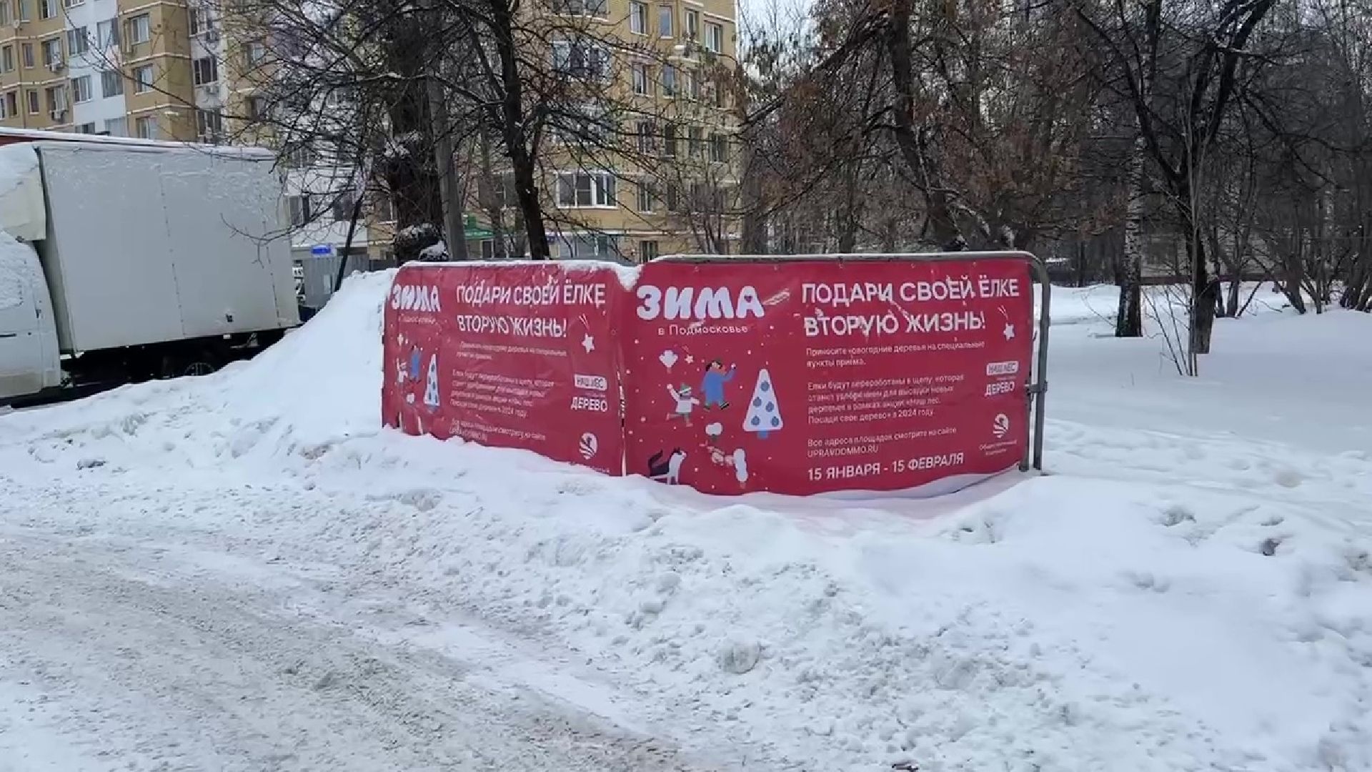 Реутов, ЖКХ, елки, вторая жизнь, акция, экология,