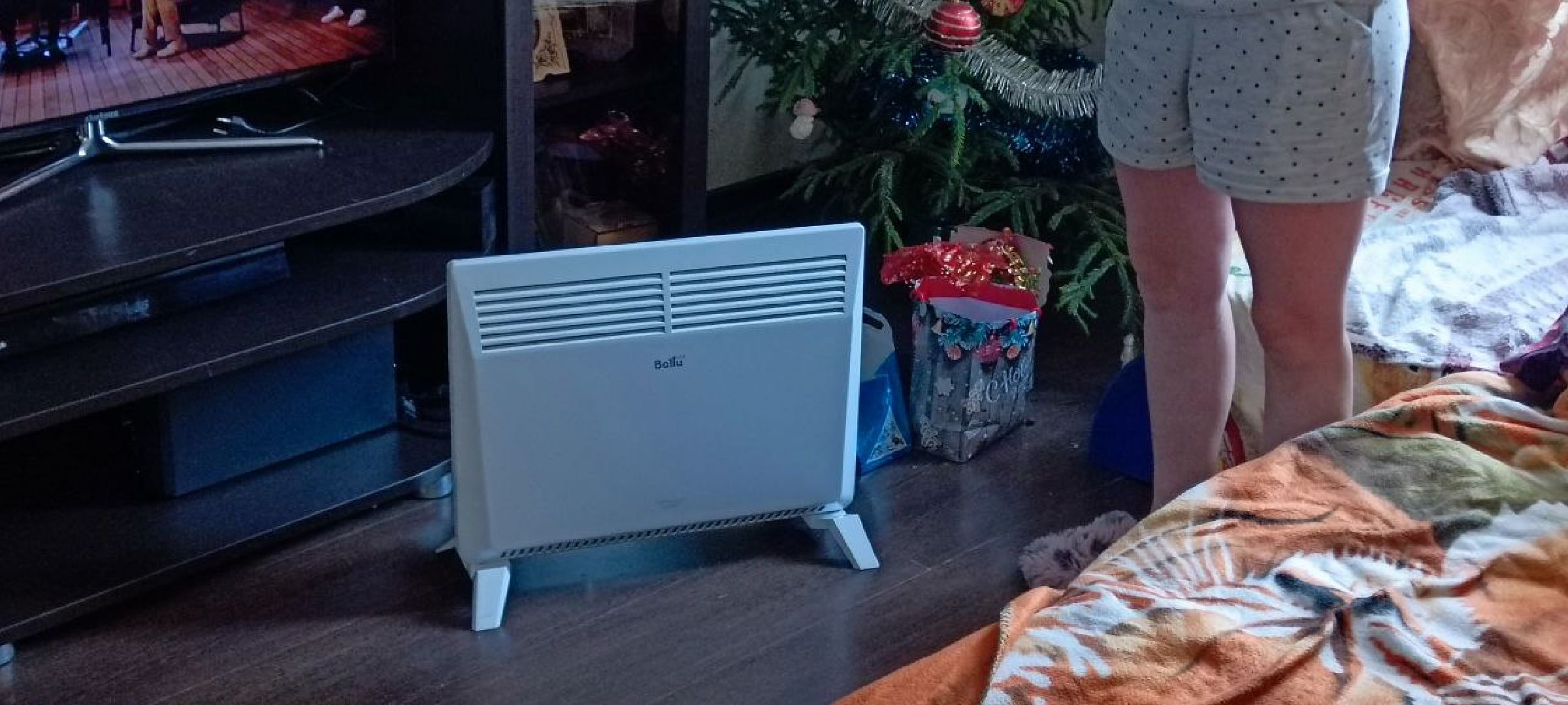 Дмитров, Яхрома, Пункт временного размещения,