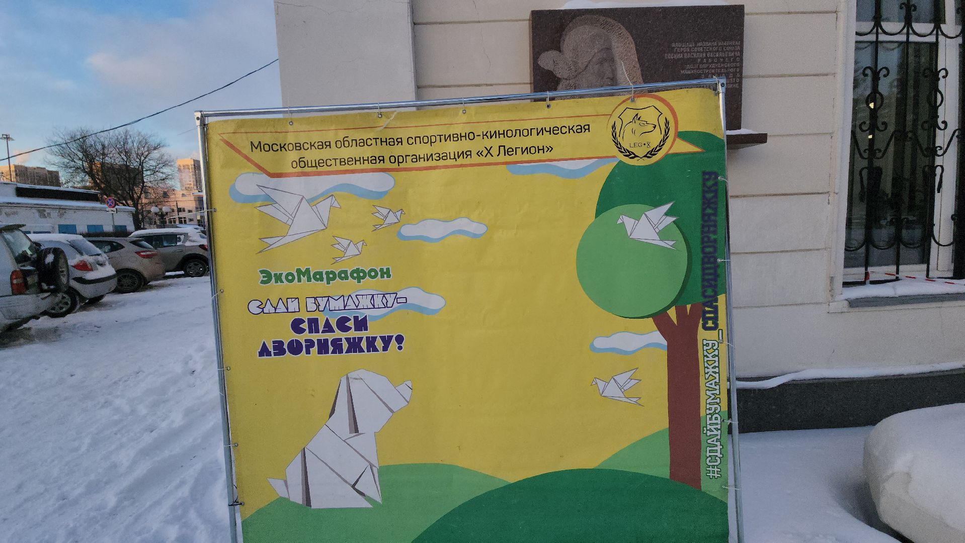 долгопрудный, кинологи, x-легион, экологический фестиваль,