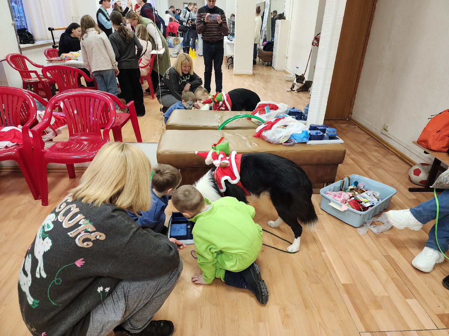 долгопрудный, кинологи, x-легион, экологический фестиваль,