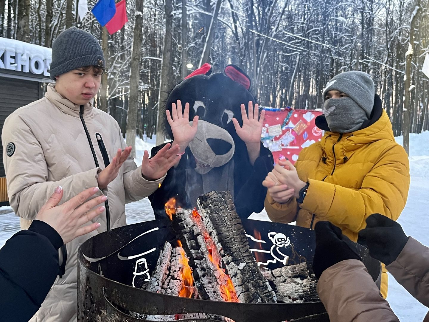 наро-фоминск, наро-фоминский городской округ, центральный парк наро-фоминска, старый новый год, зима в подмосковье,