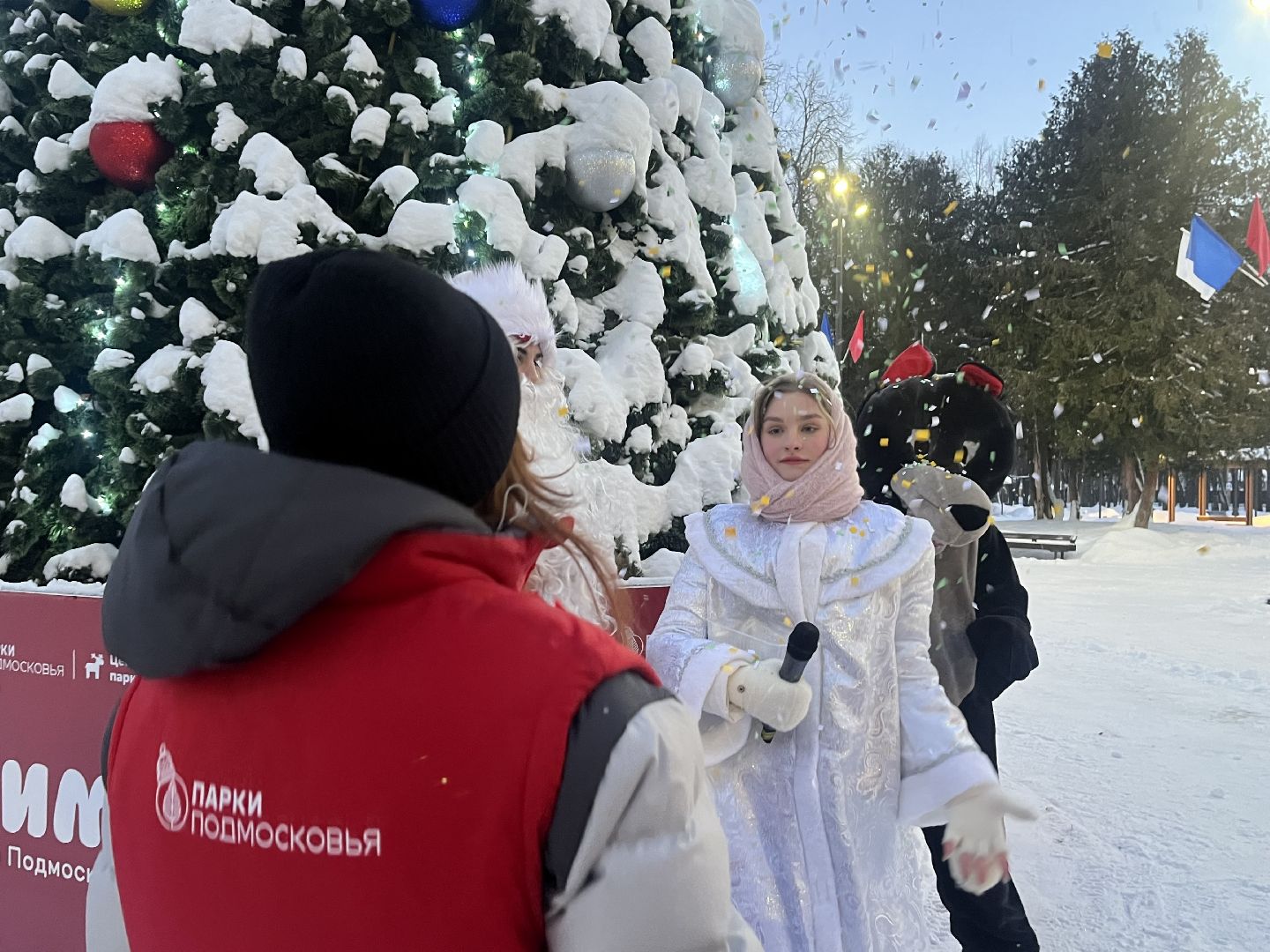наро-фоминск, наро-фоминский городской округ, центральный парк наро-фоминска, старый новый год, зима в подмосковье,