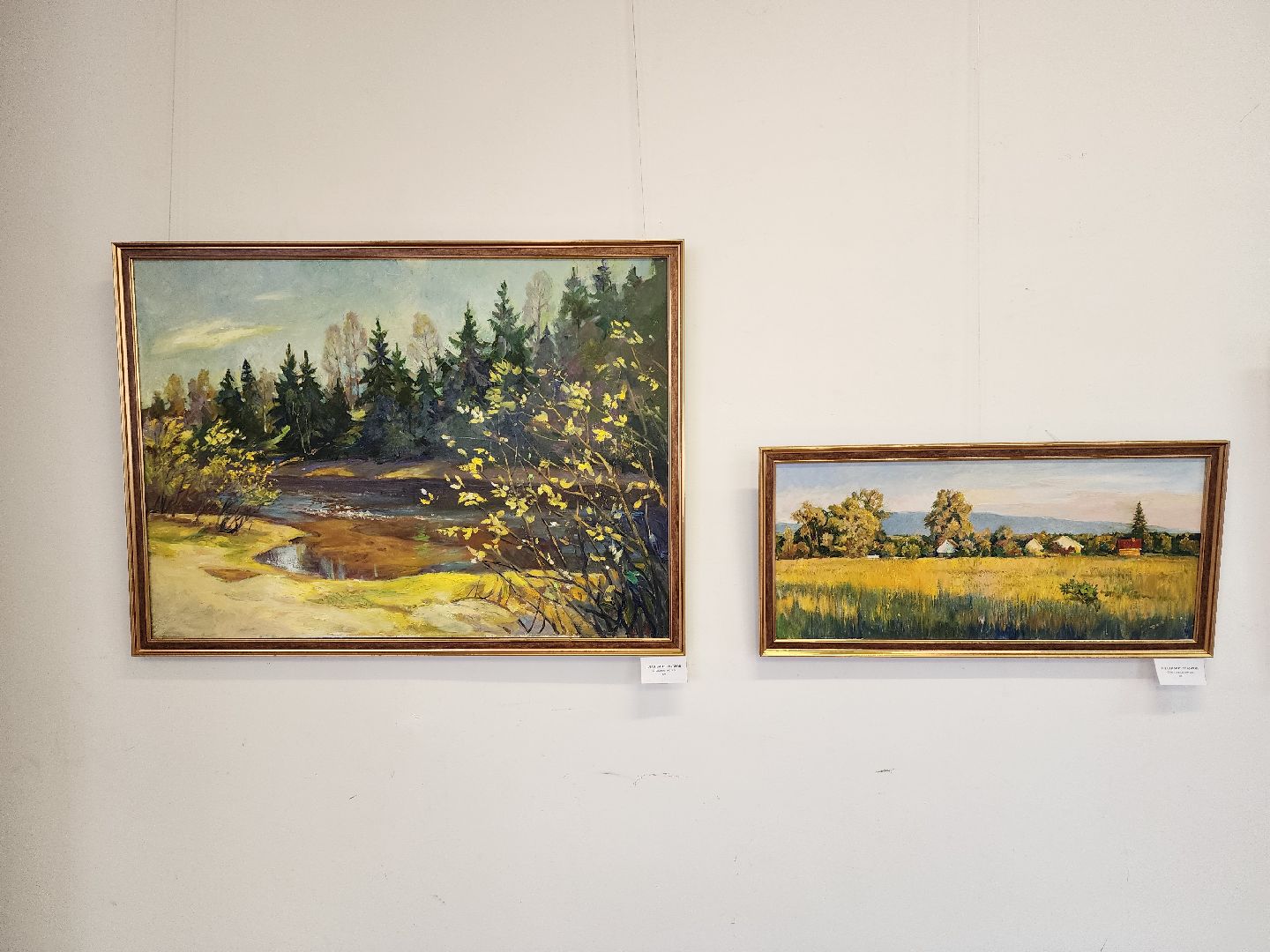 выставка, союз художников, дом художника, Ногинск, Богородский городской округ,