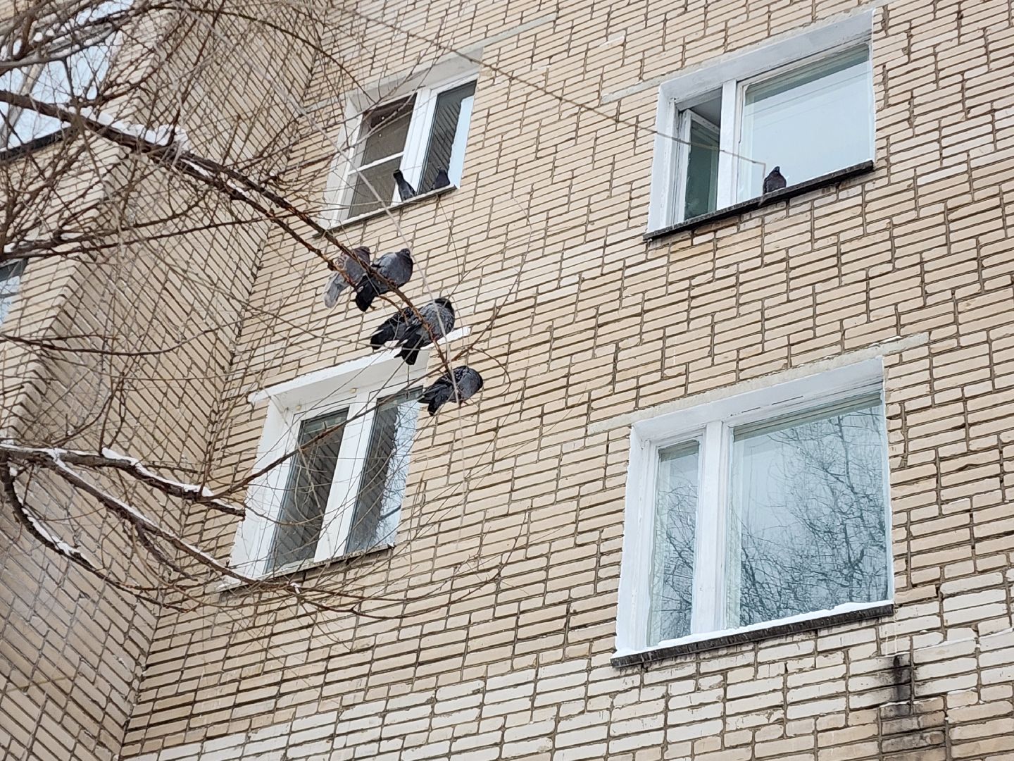 красноармейск, г.о. пушкинский, жкх подмосковья, ремонт подъездов,