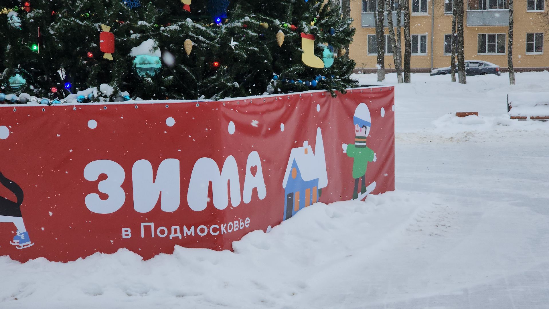 Дубна, Елки, Экологическая акция, Переработка, Экология, Благоустройство,