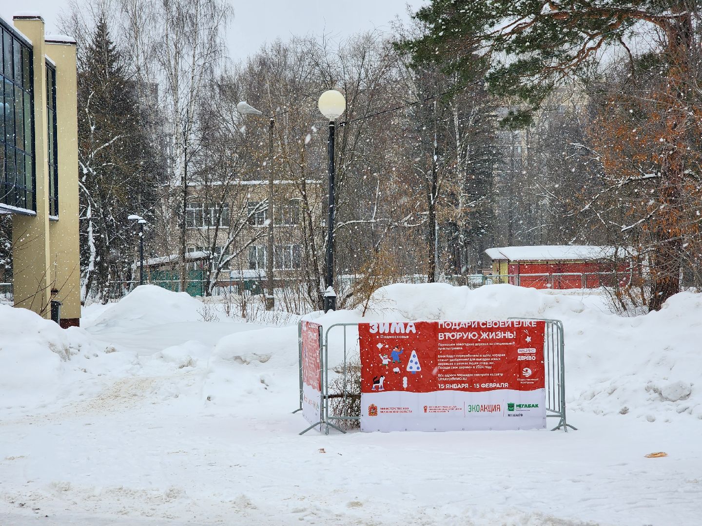 Дубна, Елки, Экологическая акция, Переработка, Экология, Благоустройство,