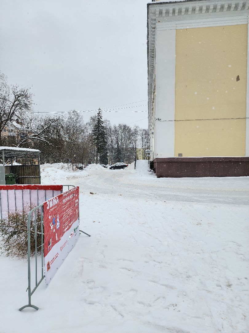 Дубна, Елки, Экологическая акция, Переработка, Экология, Благоустройство,