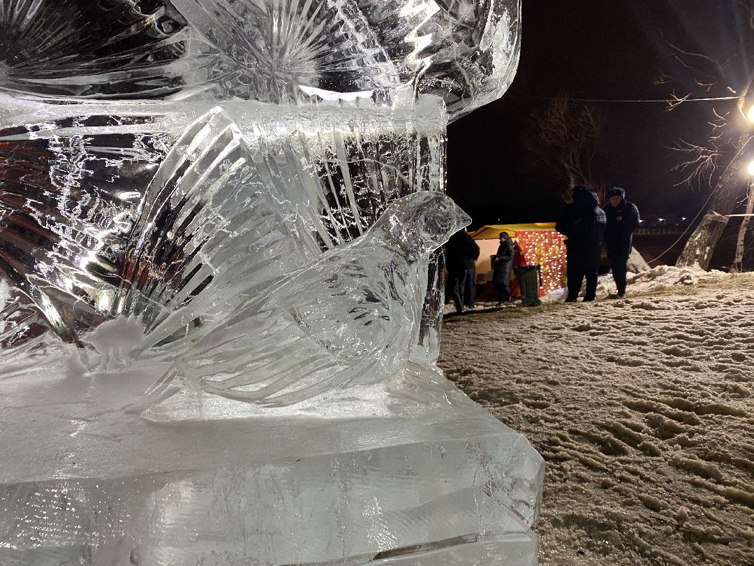 Долгопрудный, общество