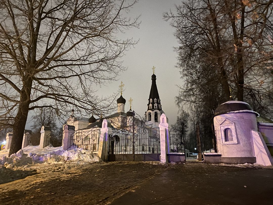 Долгопрудный, общество