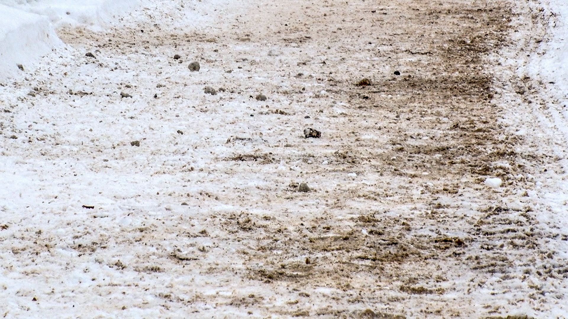 Клин, общество, ЖКХ, дворники, зима, снегопад,