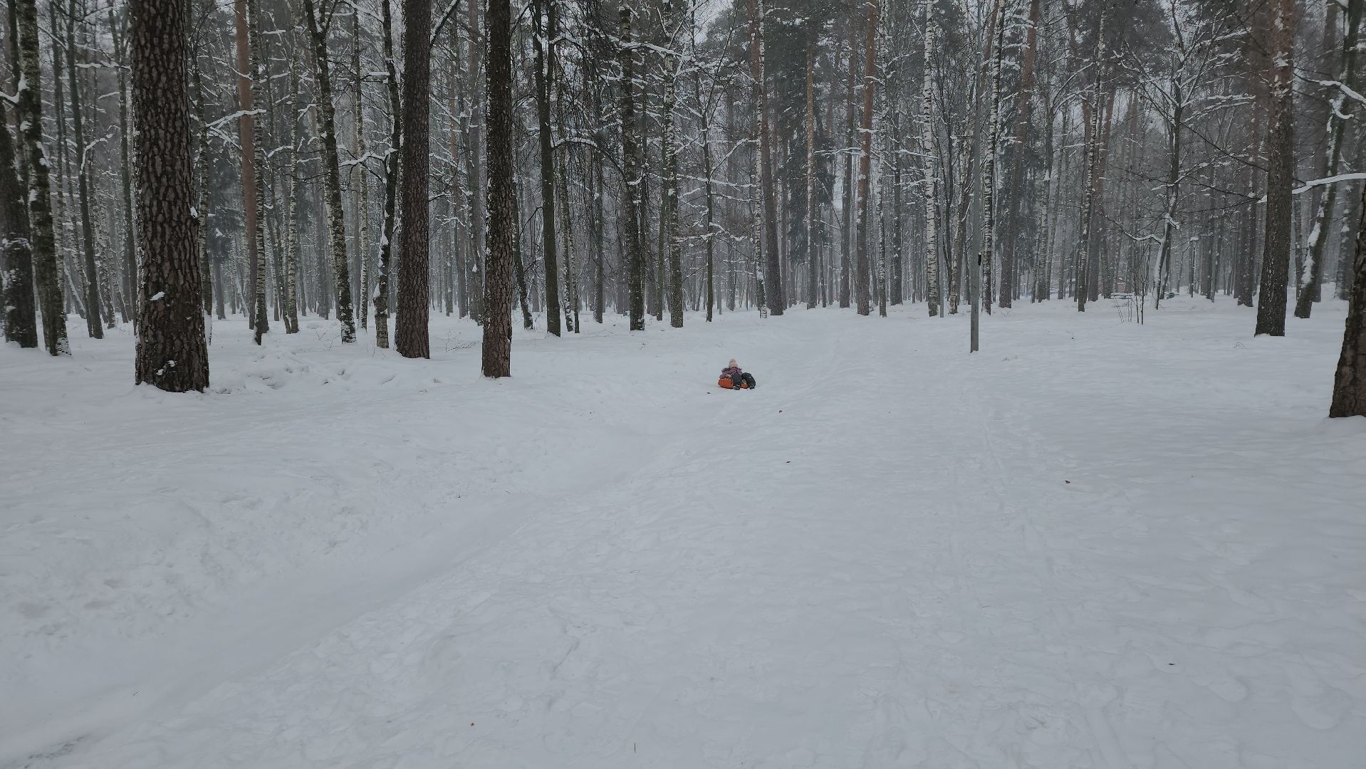 тюбинговая горка, зима в парках, Ногинск, Богородский городской округ,