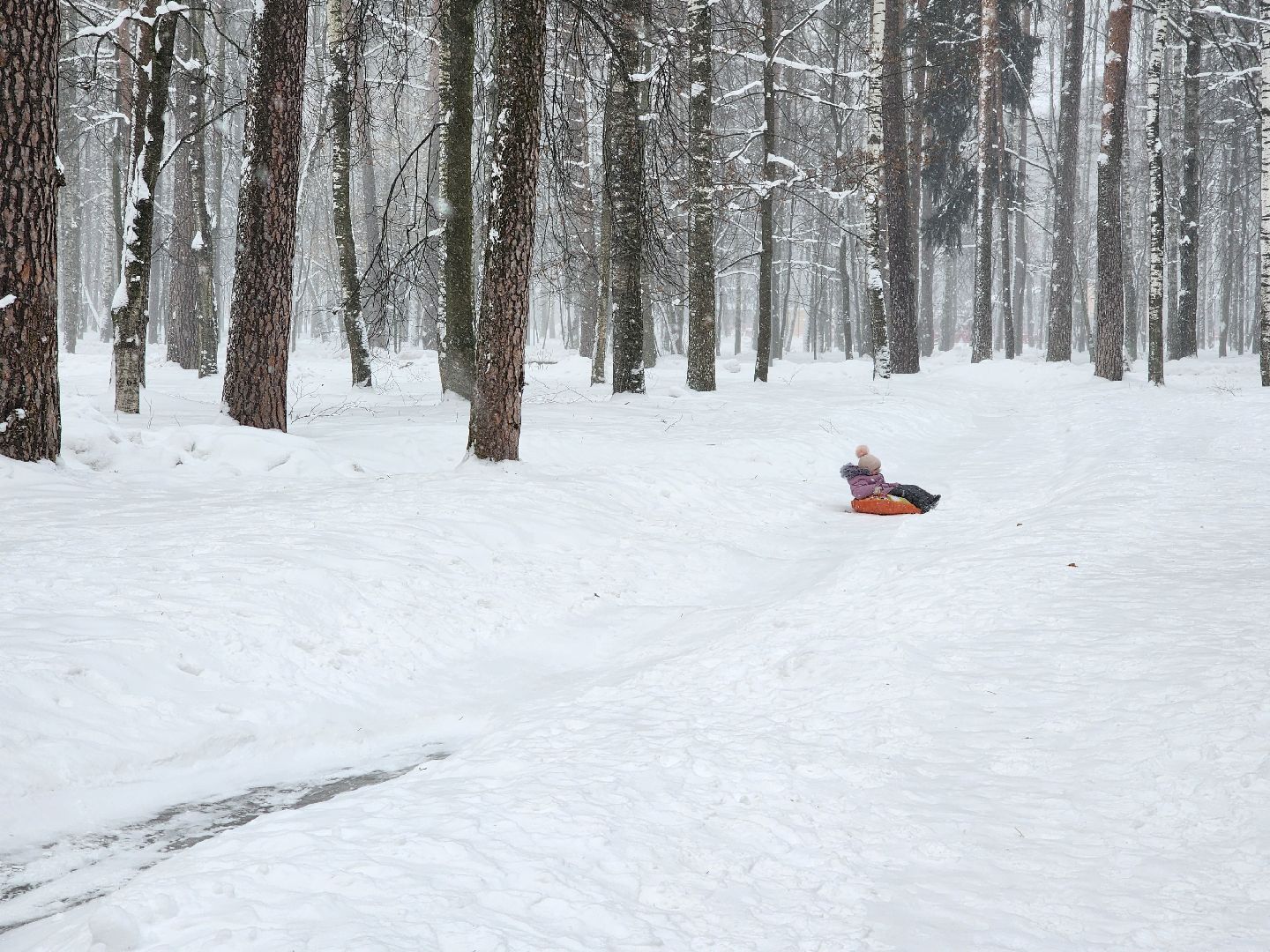 тюбинговая горка, зима в парках, Ногинск, Богородский городской округ,