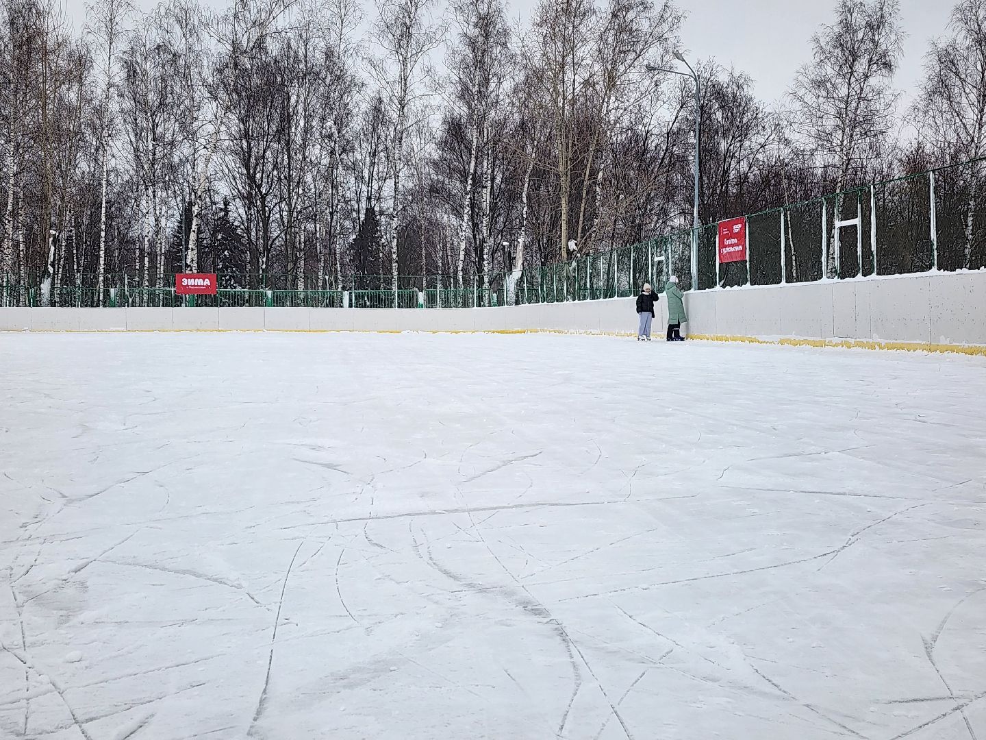 Зима в Подмосковье, зимние виды спорта, каток, Старая Купавна, Богородский городской округ,