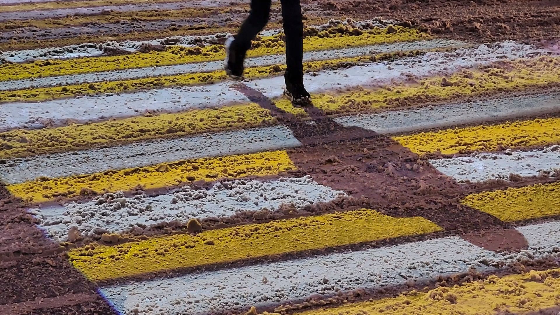 одинцово, гибдд, школы, дороги, разметка, пдд,