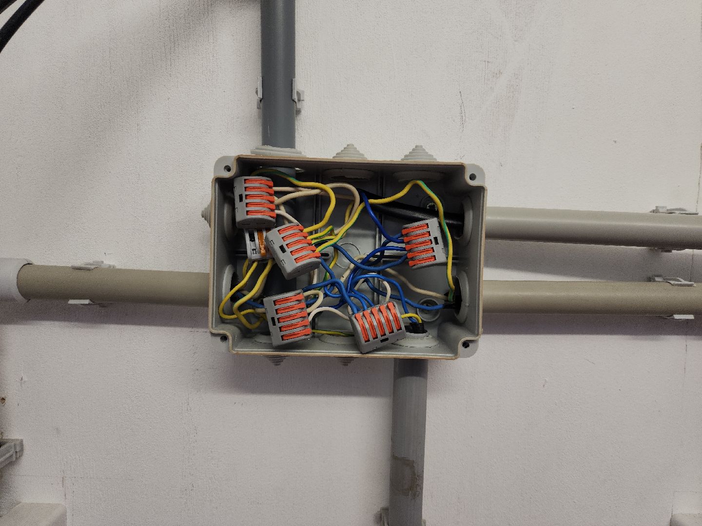 коломна, образование, колледж коломна,