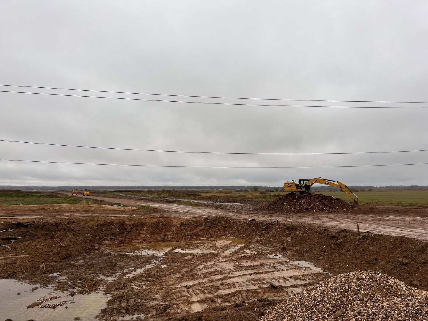 шаховская, коровы, животноводство, ферма,