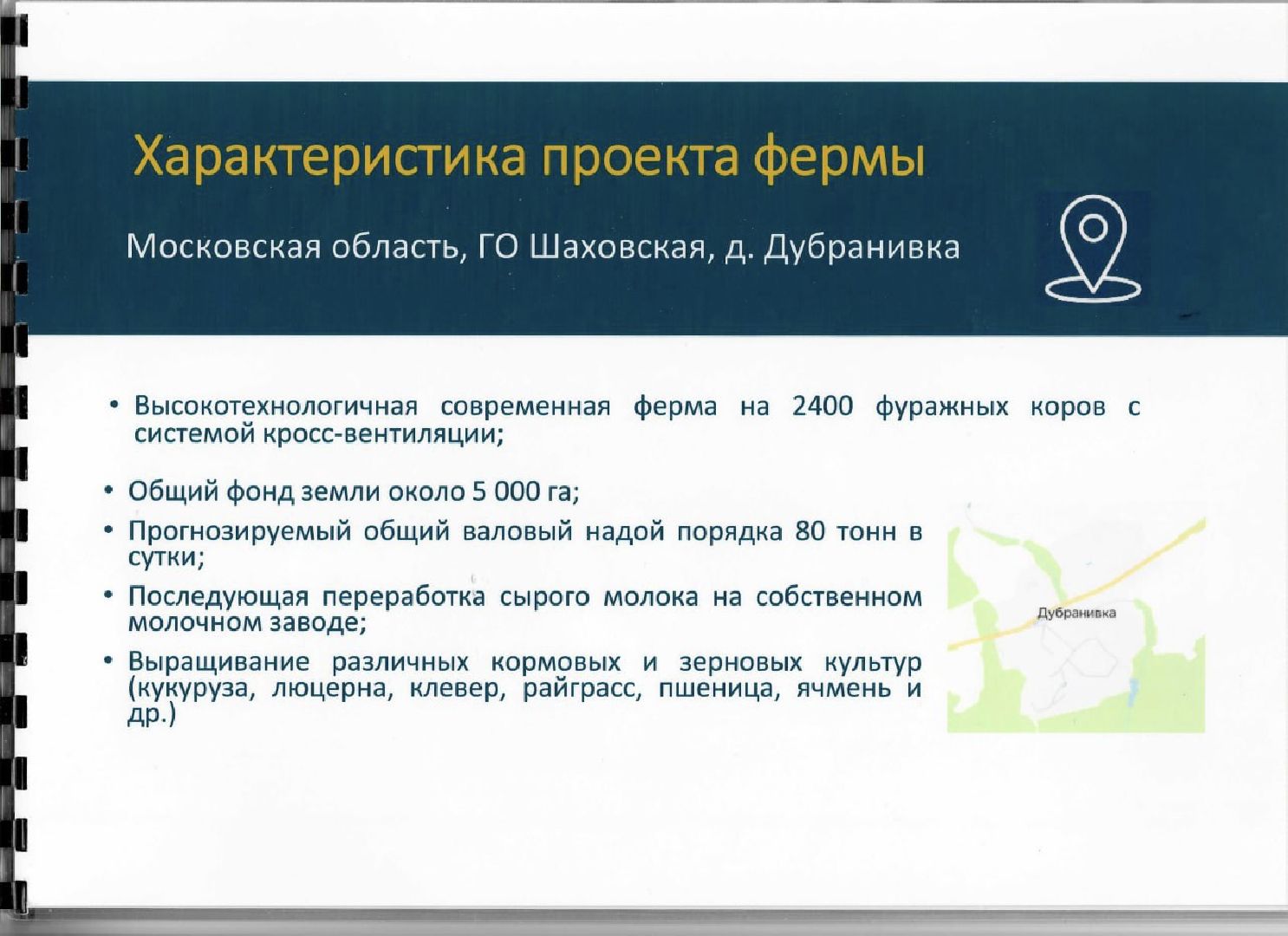 шаховская, коровы, животноводство, ферма,