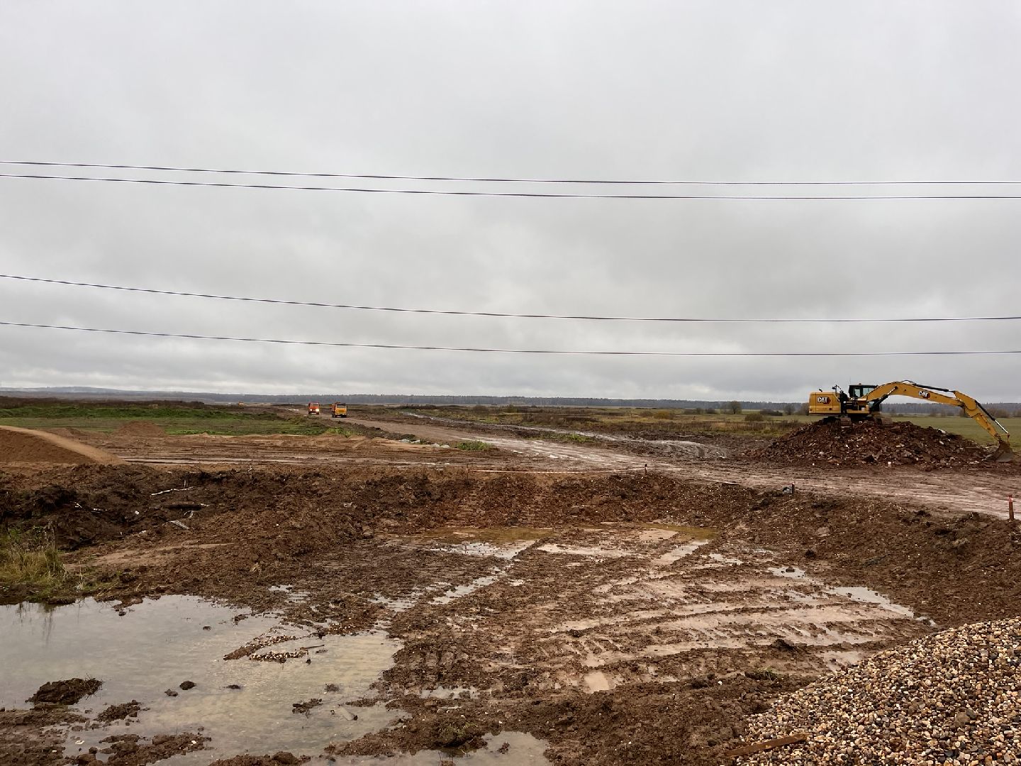 шаховская, коровы, животноводство, ферма,