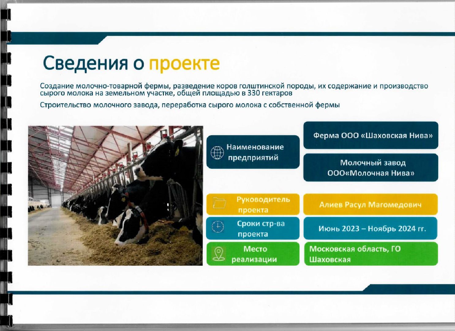 шаховская, коровы, животноводство, ферма,