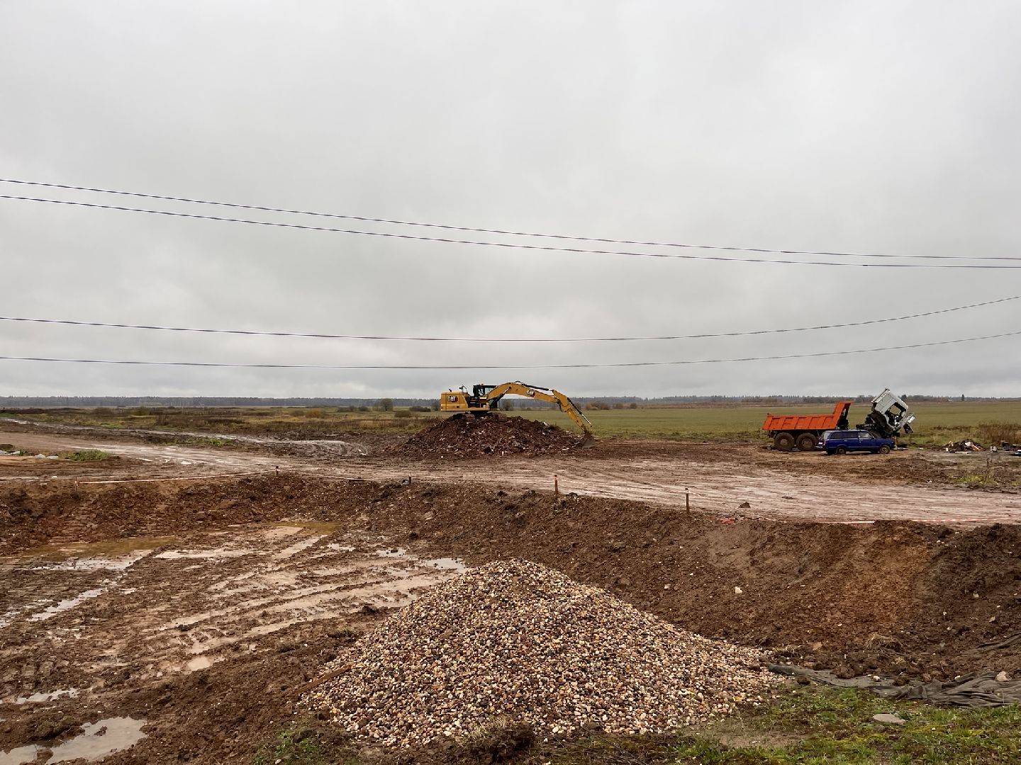 шаховская, коровы, животноводство, ферма,